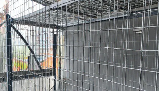 镀锌铁丝网产品包装如何影响市场竞争力